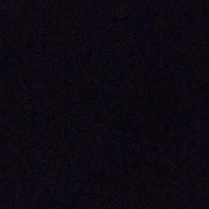 Meet your Posher, Lily